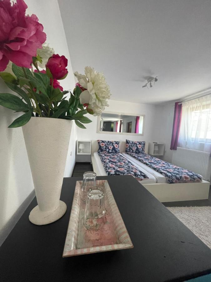 Casa De Sub Deal Densus Dış mekan fotoğraf